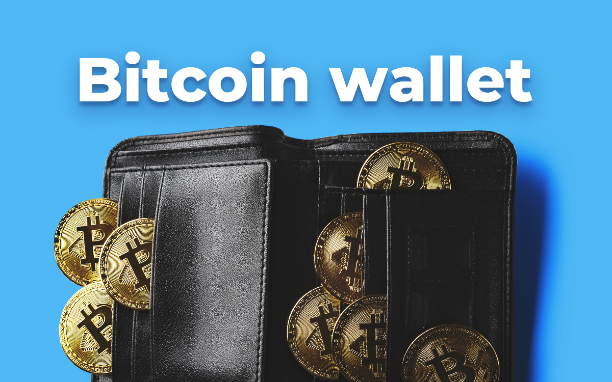 best bitcoin hot wallet
